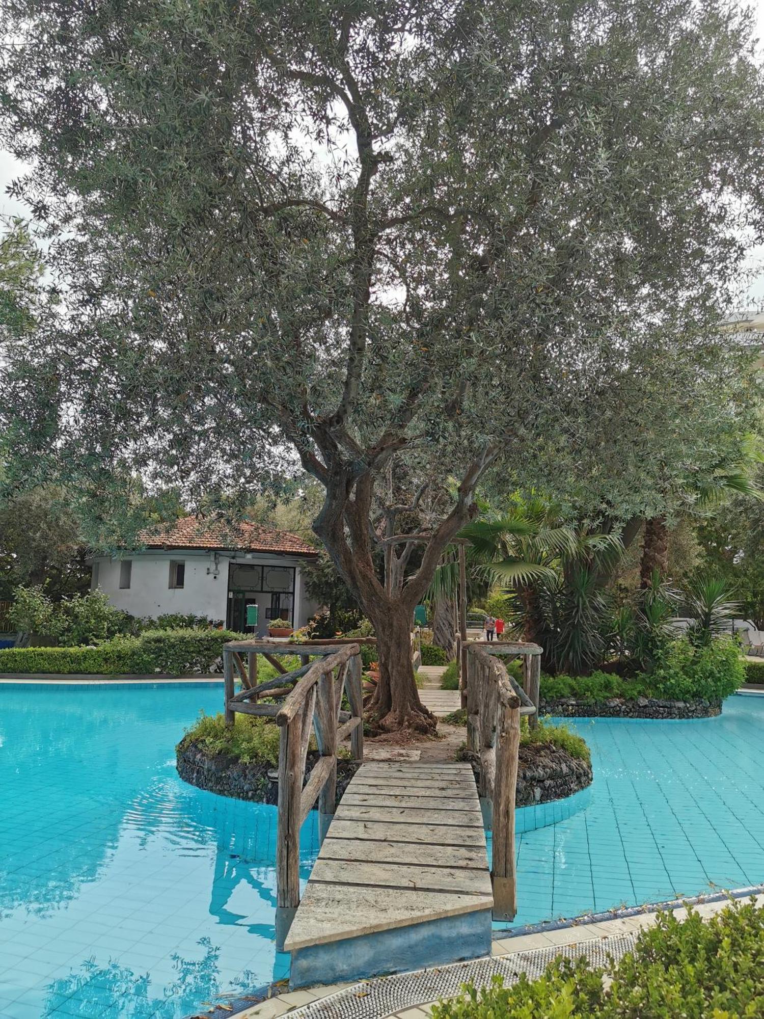 Casa Mar - Elegant Apartment With Pool And Panoramic Terrace In The Heart Of Sorrento Ngoại thất bức ảnh
